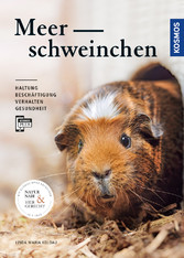 Meerschweinchen