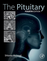 The Pituitary