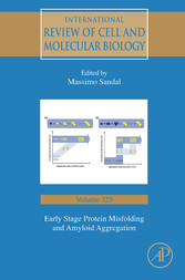 Early Stage Protein Misfolding and Amyloid Aggregation