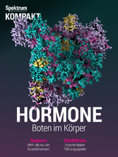 Spektrum Kompakt - Hormone