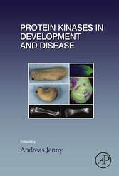 Protein Kinases in Development and Disease