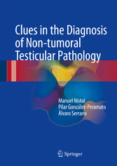 Clues in the Diagnosis of Non-tumoral Testicular Pathology