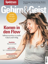 Gehirn&Geist 4/2017 - Komm in den Flow