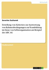 Erstellung von Kriterien zur Auswertung von Rahmenbedingungen zur Teambildung im Sinne von Selbstorganisation am Beispiel der ABC AG