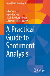 A Practical Guide to Sentiment Analysis