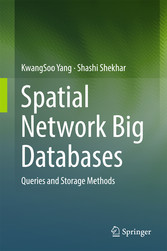 Spatial Network Big Databases