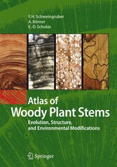 Atlas of Woody Plant Stems