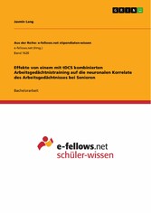 Effekte von einem mit tDCS kombinierten Arbeitsgedächtnistraining auf die neuronalen Korrelate des Arbeitsgedächtnisses bei Senioren