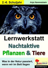 Lernwerkstatt Nachtaktive Pflanzen und Tiere