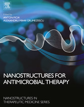 Nanostructures for Antimicrobial Therapy