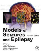 Models of Seizures and Epilepsy