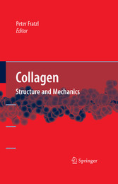 Collagen