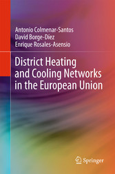 District Heating and Cooling Networks in the European Union