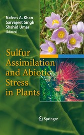 Sulfur Assimilation and Abiotic Stress in Plants