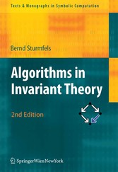 Algorithms in Invariant Theory