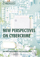 New Perspectives on Cybercrime