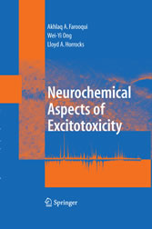 Neurochemical Aspects of Excitotoxicity