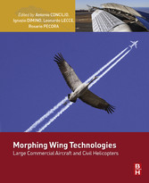 Morphing Wing Technologies