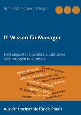 IT-Wissen für Manager