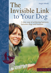 The Invisible Link to Your Dog