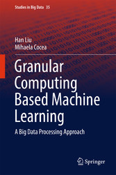 Granular Computing Based Machine Learning