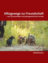 Alltagswege zur Freundschaft