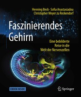 Faszinierendes Gehirn