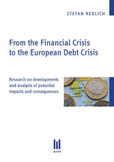 From the Financial Crisis to the European Debt Crisis