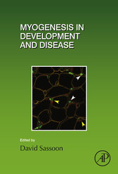 Myogenesis in Development and Disease