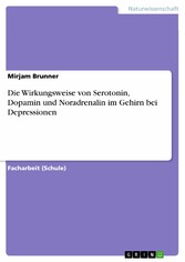 Die Wirkungsweise von Serotonin, Dopamin und Noradrenalin im Gehirn bei Depressionen