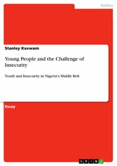 Young People and the Challenge of Insecurity