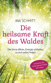 Die heilsame Kraft des Waldes