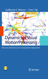 Dynamics of Visual Motion Processing