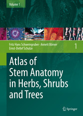 Atlas of Stem Anatomy in Herbs, Shrubs and Trees