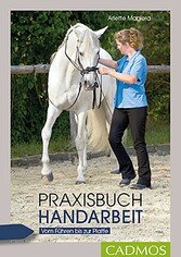 Praxisbuch Handarbeit