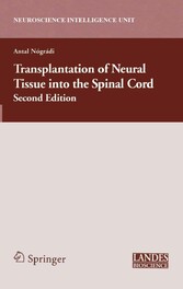 Transplantation of Neural Tissue into the Spinal Cord