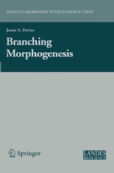 Branching Morphogenesis