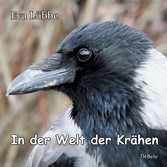 In der Welt der Krähen