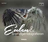 Eulen & Greifvögel fotografieren