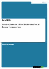 The Importance of the Brcko District in Bosnia Herzegovina