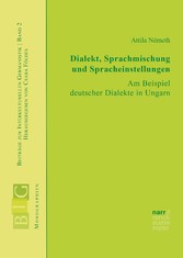 Dialekt, Sprachmischungen und Spracheinstellungen