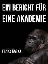 Ein Bericht für eine Akademie