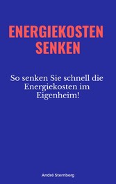 Energiekosten senken