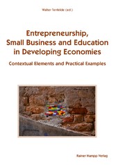 Entrepreneurship, Small Business and Education in Developing Economies