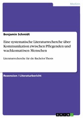 Eine systematische Literaturrecherche über Kommunikation zwischen Pflegenden und wachkomatösen Menschen