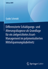 Differenzierte Schädigungs- und Alterungsdiagnose als Grundlage für ein zielgerichtetes Asset-Management im polymerisolierten Mittelspannungskabelnetz