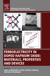 Ferroelectricity in Doped Hafnium Oxide