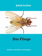 Die Fliege