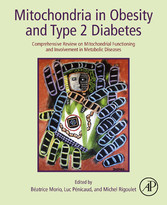 Mitochondria in Obesity and Type 2 Diabetes