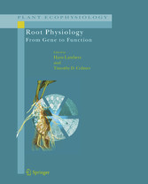 Root Physiology: from Gene to Function